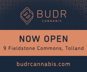 BUDR